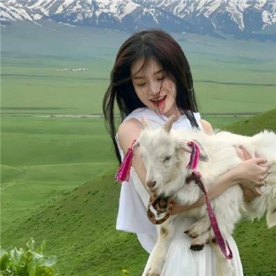 垂死侦探封面